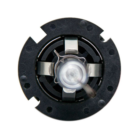 d4r-2